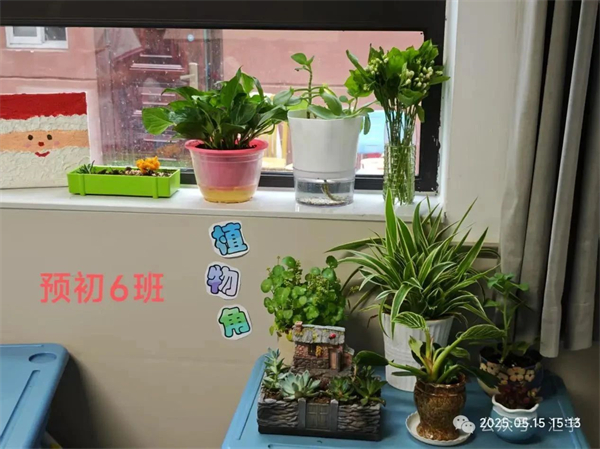 微信图片_20250704134535.jpg