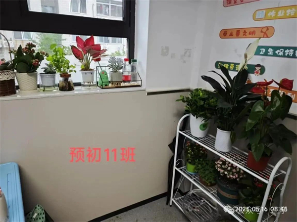 微信图片_20250704134539.jpg