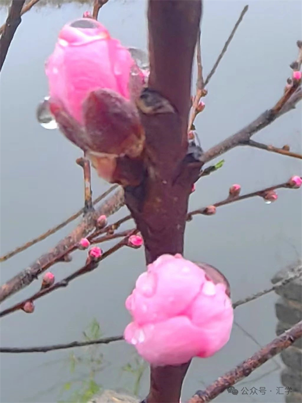 微信图片_20250321081455.jpg