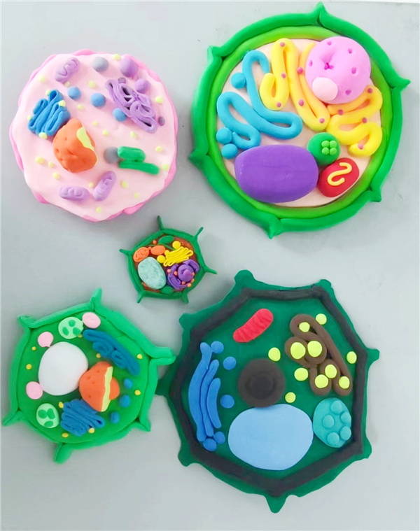 图5 优秀作品3.jpg