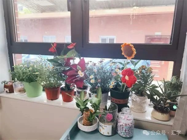 微信图片_20250610103232.jpg
