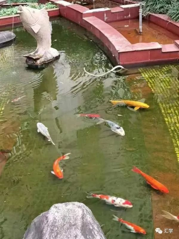 微信图片_20221123084332.jpg