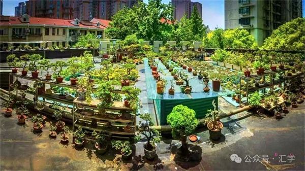 微信图片_20250527145149.jpg