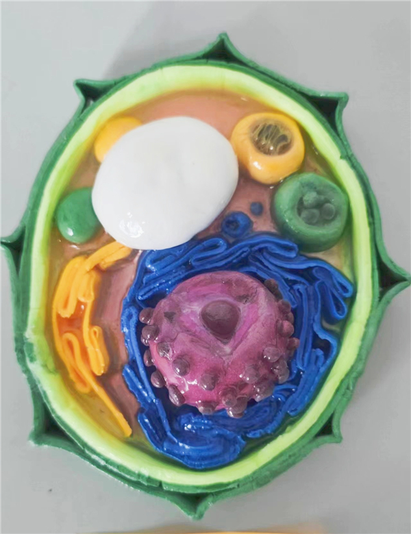 图6 优秀作品4.jpg