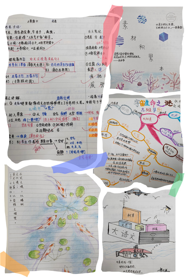 图片5（语文作业）.jpg